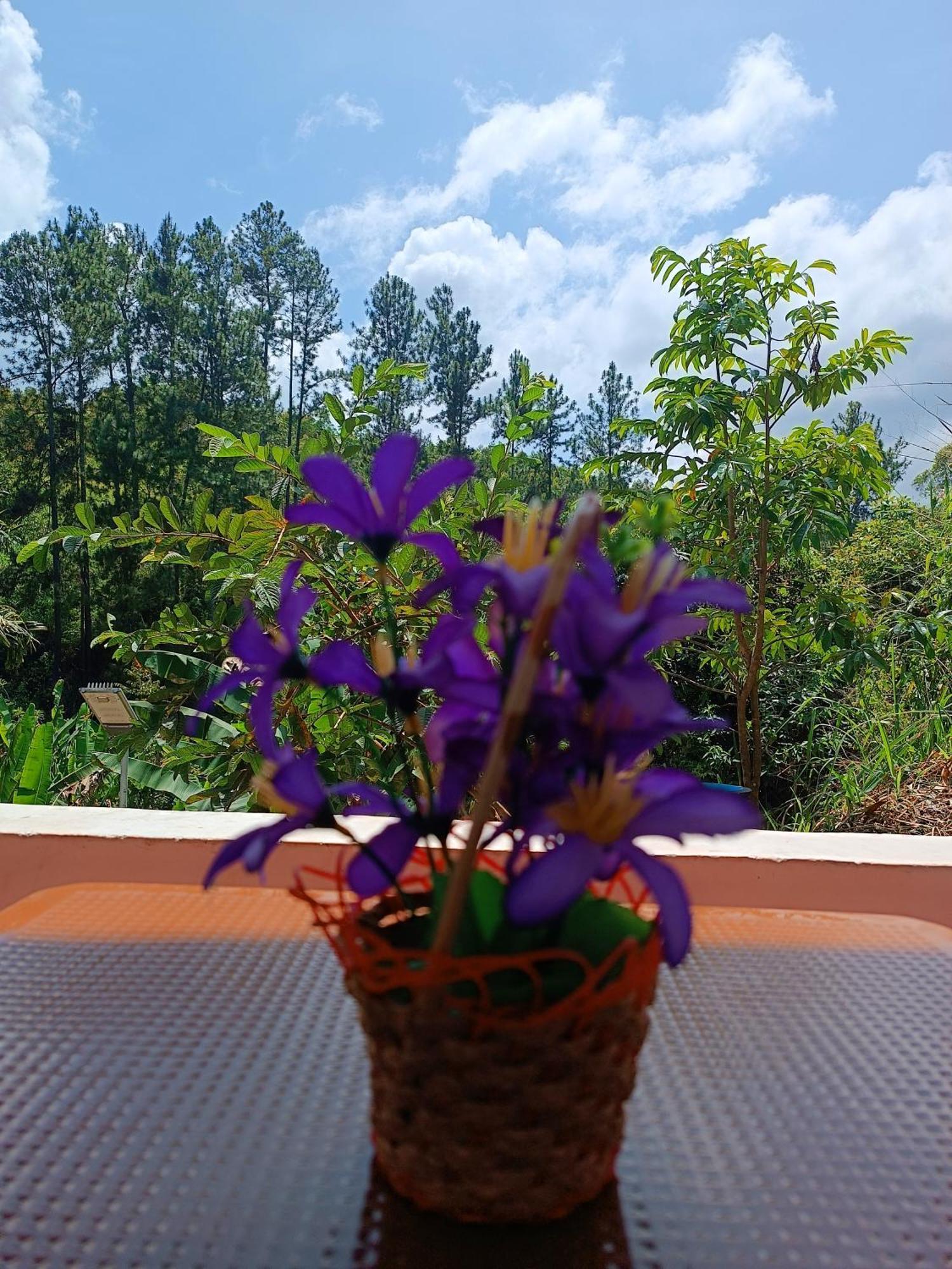 Mount Crest - Ella Hotel Екстериор снимка
